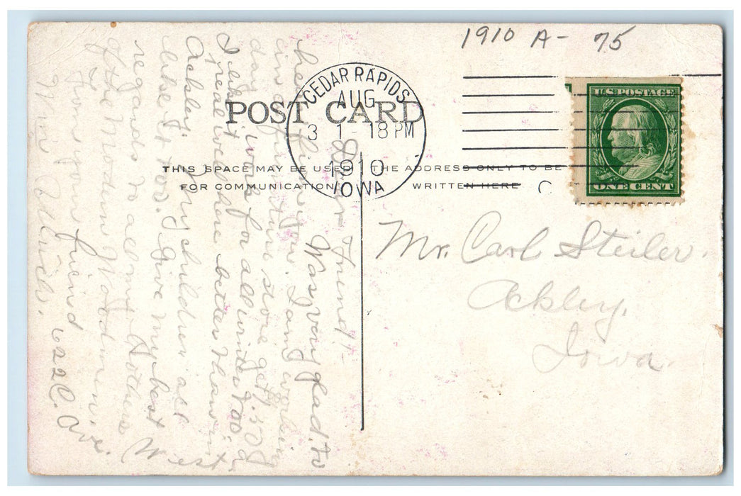 1910 Animal Cage Bever Park Family Tourist Trees Cedar Rapids Iowa IA Postcard