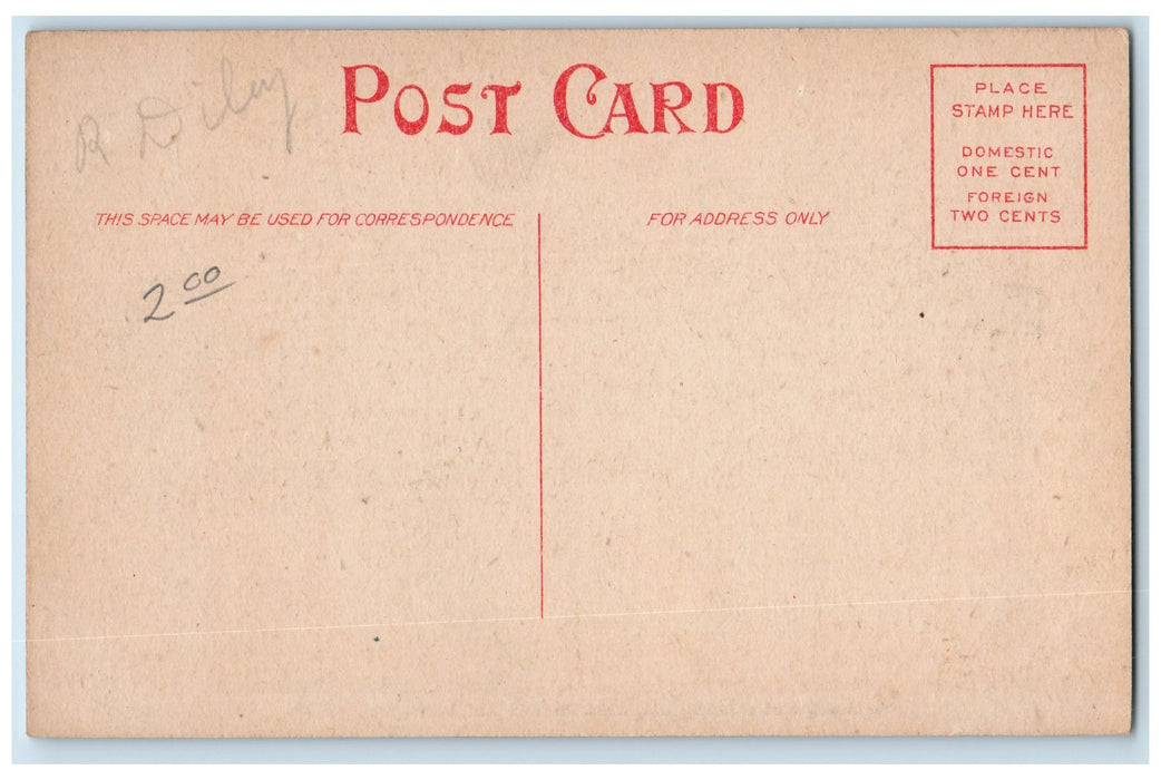 c1910s St. Margaret's Hospital Exterior Hammond Indiana IN Unposted Postcard