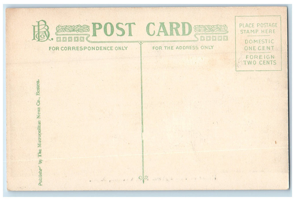 c1910s Ruins Of Bellingham Hill Scene Chelsea Massachusetts MA Unposted Postcard