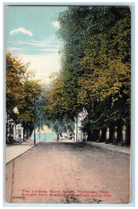 c1910s The Lindens North Street Scene Plymouth Massachusetts MA Trees Postcard