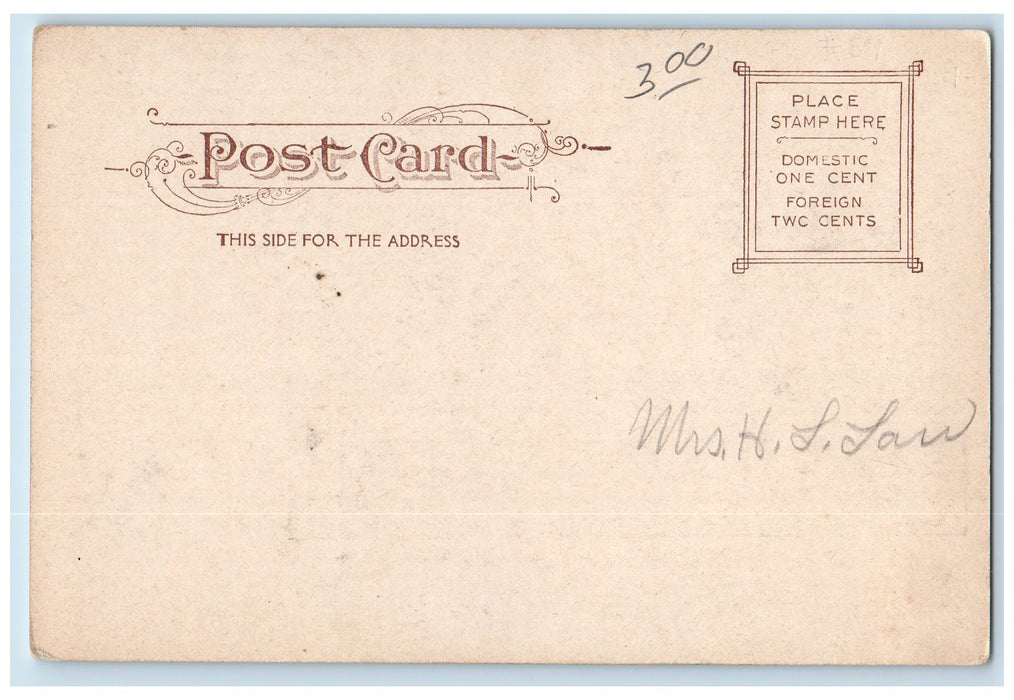 c1905s Perkins Institute For The Blind South Boston Massachusetts MA Postcard