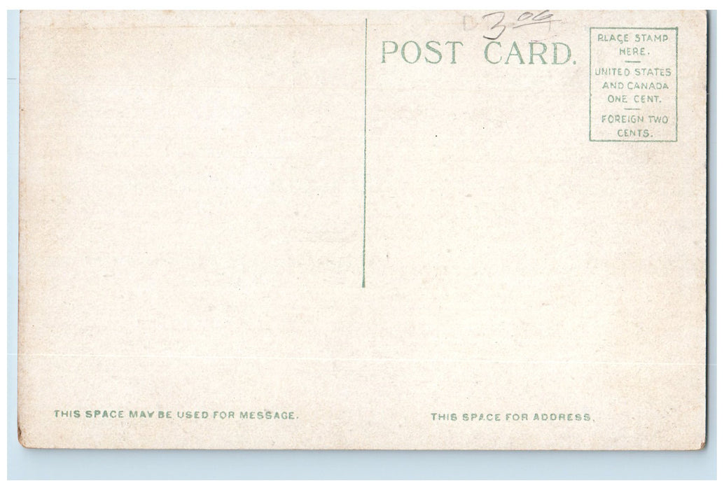 c1920s Bass Neck House Bass Point Nahant Massachusetts MA Unposted Car Postcard
