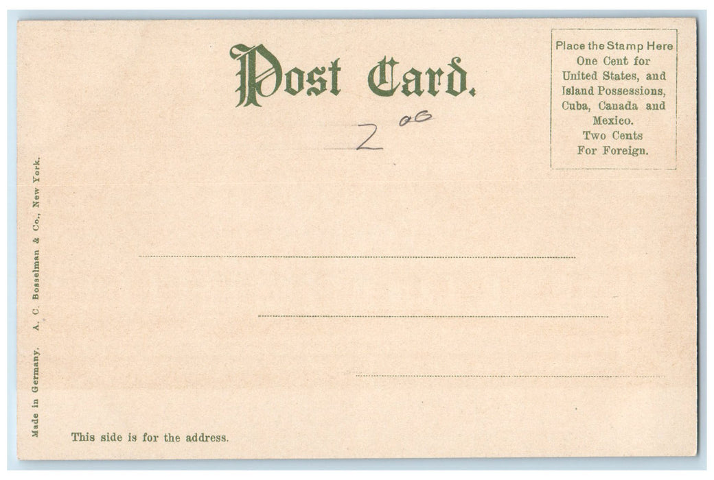 c1905 Aspinwall Hotel Building Restaurant Trees Lenox Massachusetts MA Postcard