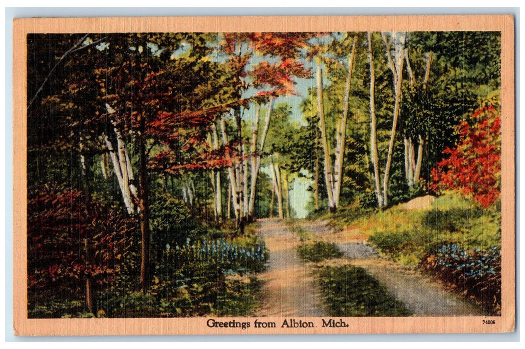 1949 Greetings From Albion Path Walk Flowers Trees Michigan MI Posted Postcard