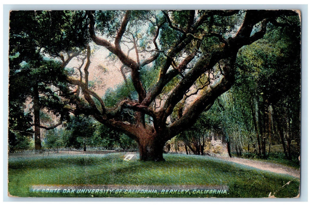 1916 Le Conte Oak University Of California Berkley California CA Posted Postcard