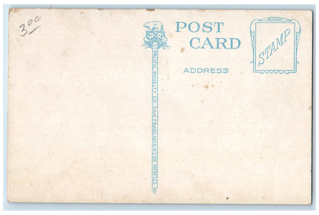 c1950's Lottie Grunsky Grammar School Campus Building View Stockton CA Postcard