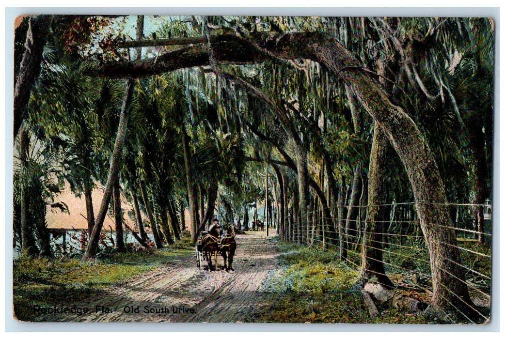 1909 Old South Drive Carriage Scene Rockledge Florida FL Posted Trees Postcard