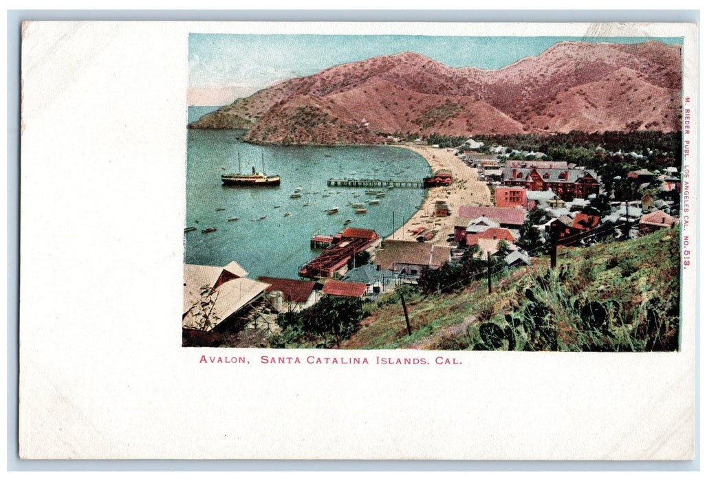 c1905 Santa Catalina Islands Boat Ship Landing Wharf Building Avalon CA Postcard