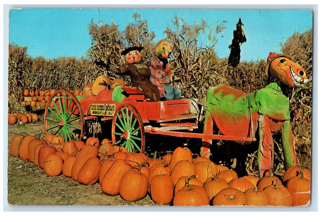 c1960's Van Riper's Farm Chestnut Road Woodcliff Lake NJ Posted Pumpkin Postcard