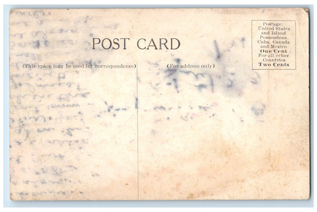 c1940's The Florida Alligator Farm Jacksonville Florida FL Unposted Postcard