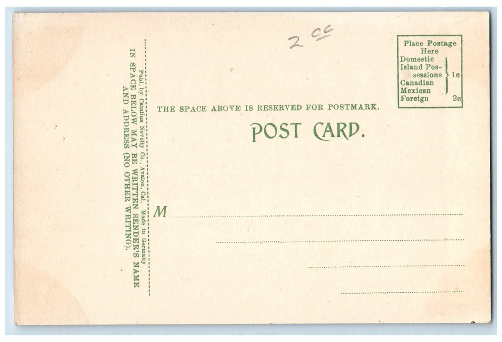 c1920's Crescent Avenue Harbor Avalon Boats Santa Catalina Island CA Postcard