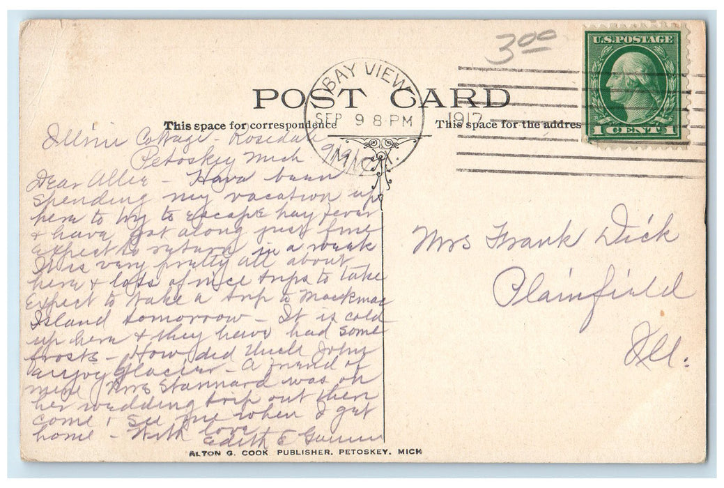 1917 Steamship Landing Harbor People Scene Petoskey Michigan MI Posted Postcard