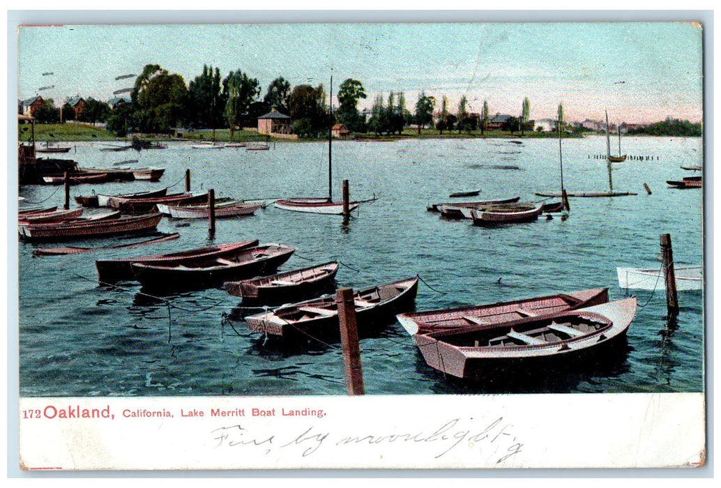 1906 Lake Merritt Boat Landing House Seaside Tree Oakland California CA Postcard