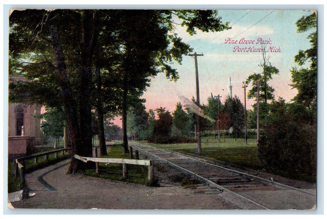1909 Pine Grove Park Railroad Scene Port Huron Michigan MI Posted Trees Postcard