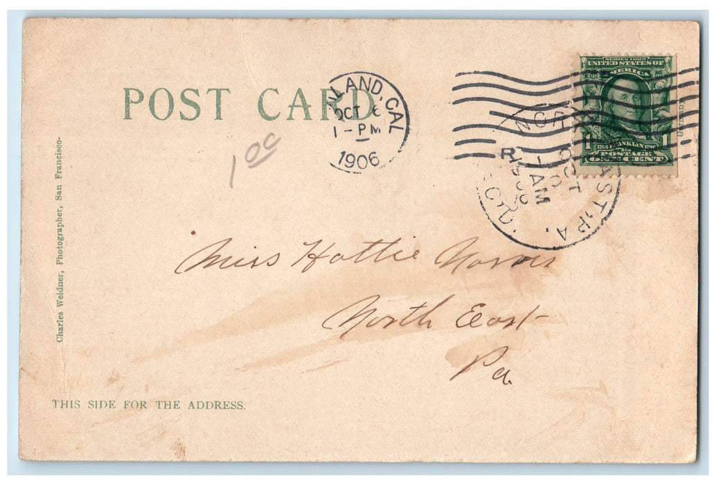 1906 Lake Merritt Boat Landing House Seaside Tree Oakland California CA Postcard