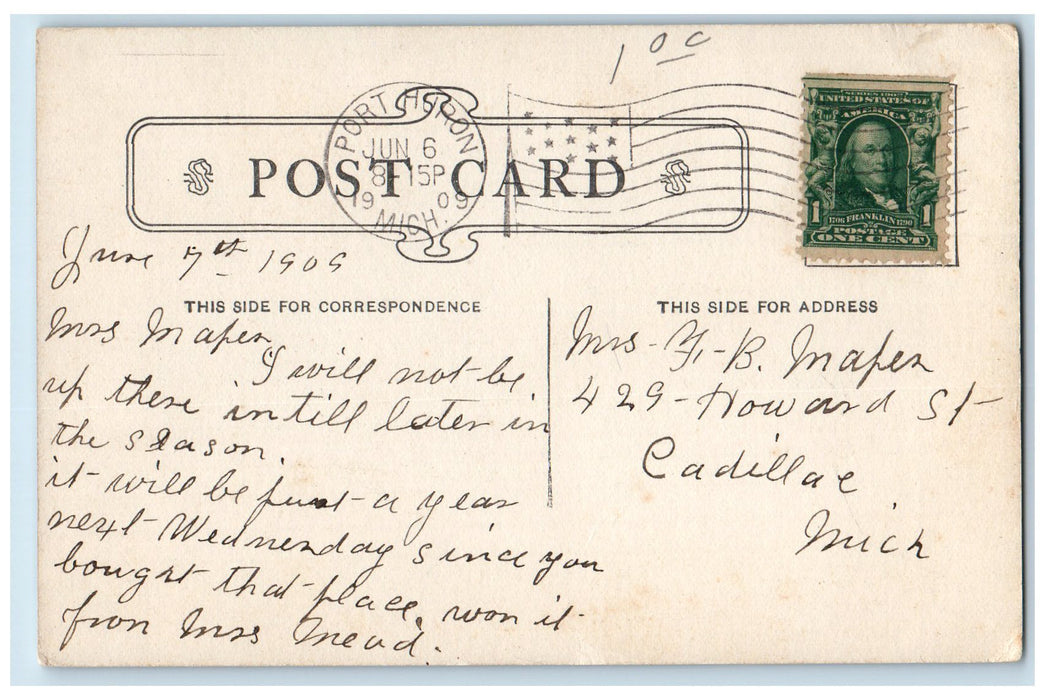 1909 Pine Grove Park Railroad Scene Port Huron Michigan MI Posted Trees Postcard