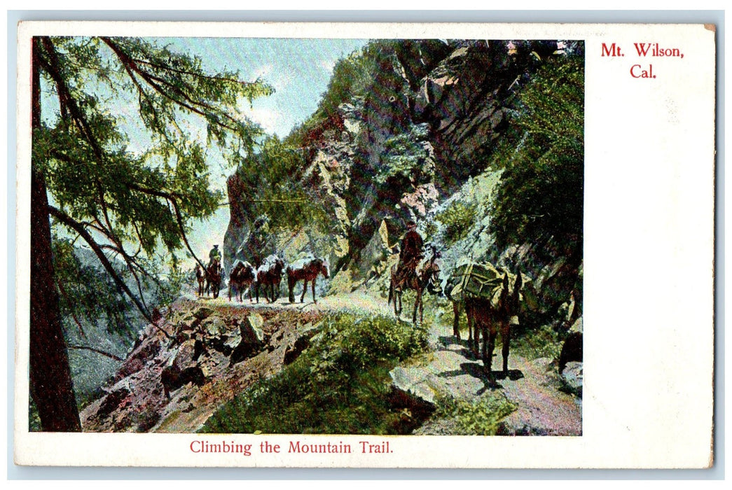 c1920's Climbing The Mountain Trail Group Riding Horse Mt. Wilson CA Postcard