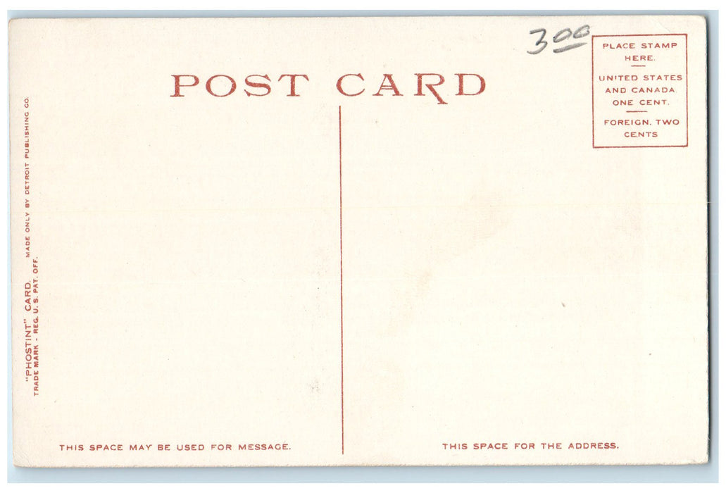 c1920s High School Exterior Roadside Port Huron Michigan MI Unposted Postcard