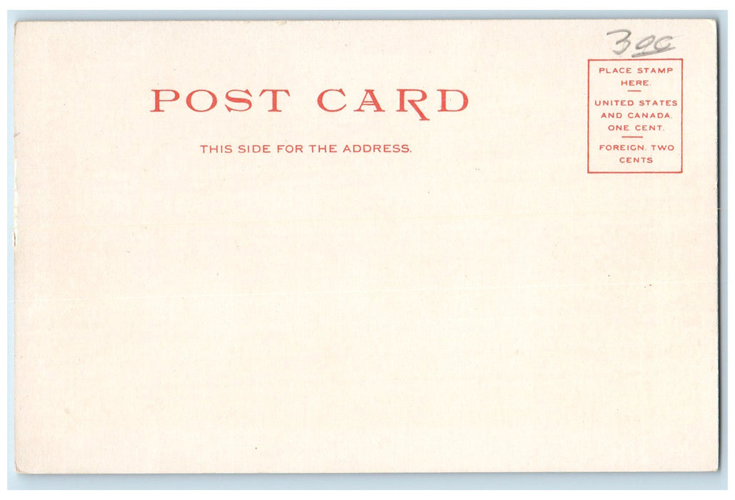 c1905s Public Library Exterior Roadside Port Huron Michigan MI Unposted Postcard