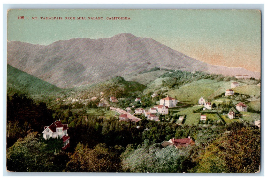 c1950's Mt. Tamalpais From Mill Valley Hills Forest View California CA Postcard