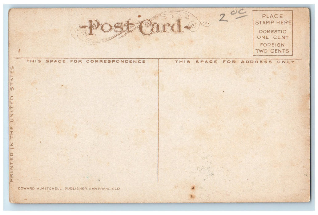 c1950's Mt. Tamalpais From Mill Valley Hills Forest View California CA Postcard