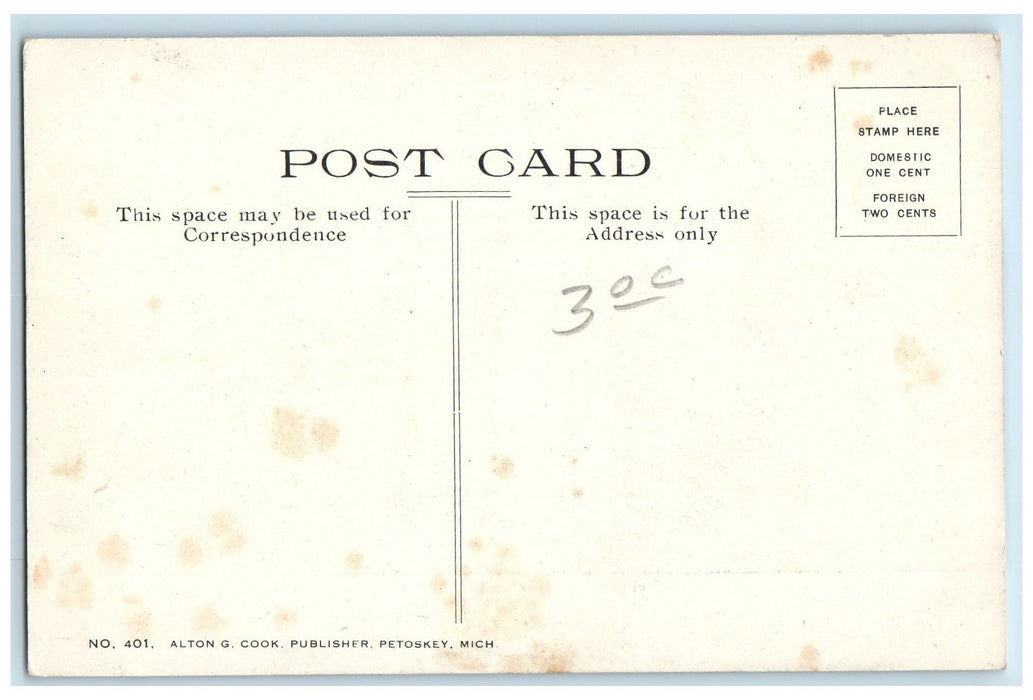 c1930s The Cushman House Exterior Scene Petoskey Michigan MI Unposted Postcard