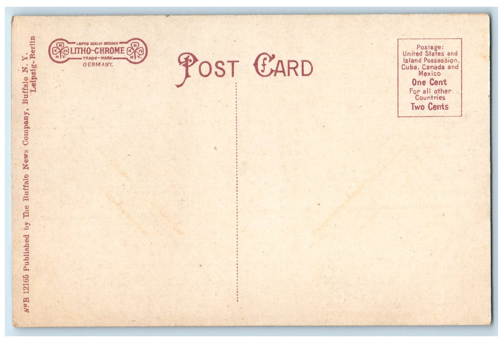 c1910s Holy Angels School Exterior Roadside Buffalo New York NY Posted Postcard
