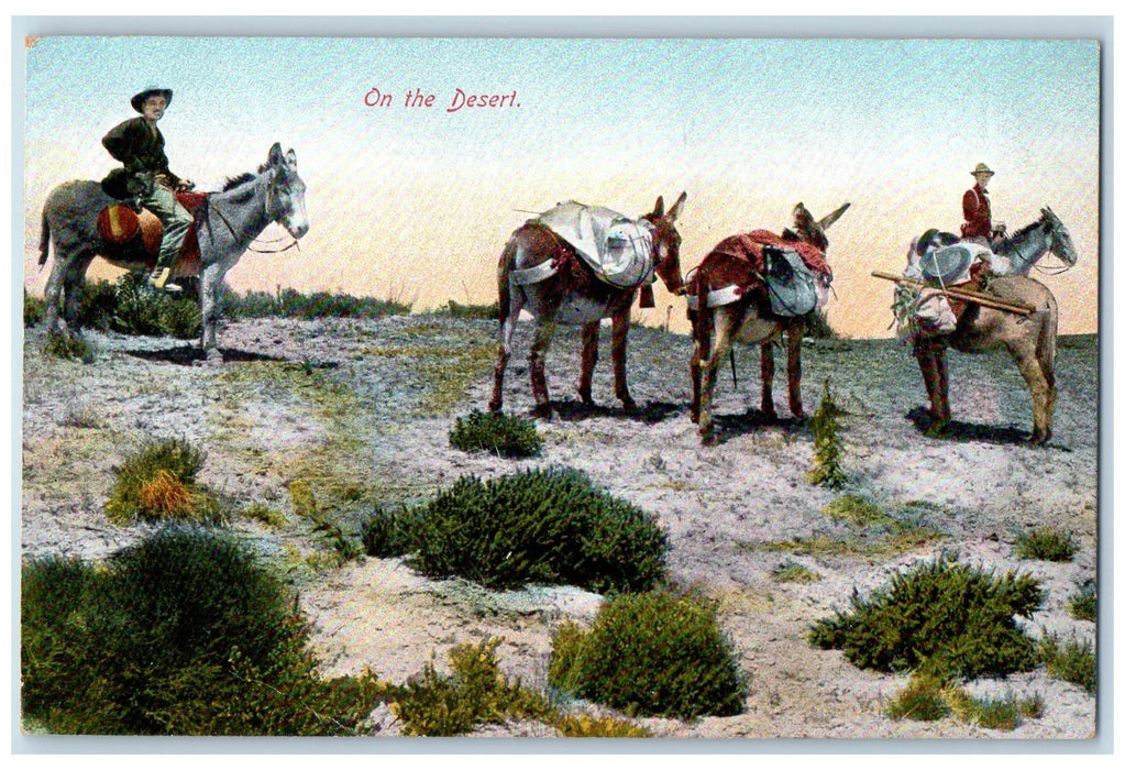 c1950's On The Desert Riding Donkeys Mules Sands Small Plant Arizona AZ Postcard