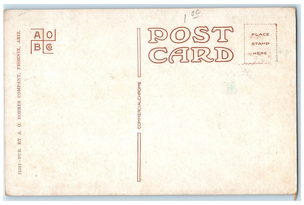 c1920 Salt River In Flood Diversion Water Granite Reef Dam Arizona AZ Postcard