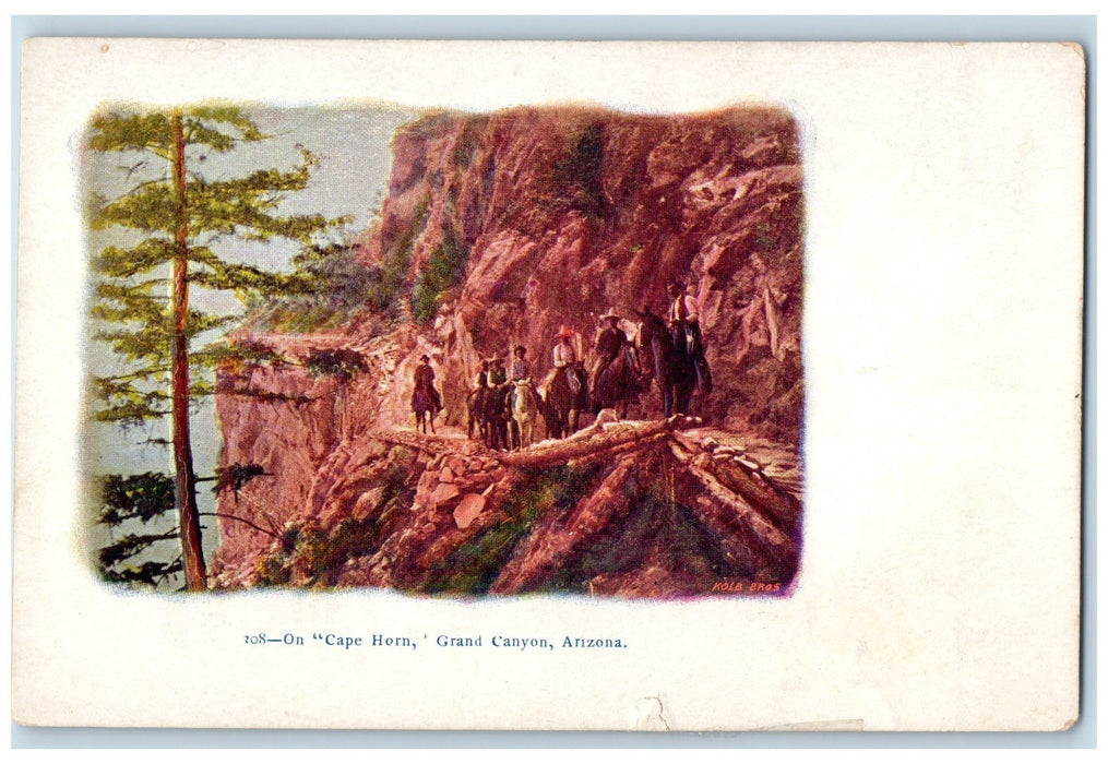 c1905's On Cape Horn Group Of Riding Horses Grand Canyon Arizona AZ Postcard