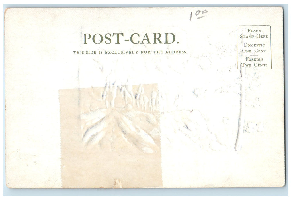 c1905's On Cape Horn Group Of Riding Horses Grand Canyon Arizona AZ Postcard