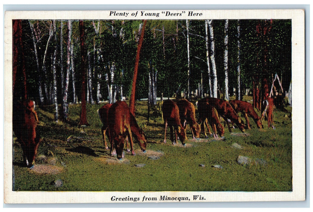 1937 Greetings From Minocqua Plenty Of Young Deers Here WI Posted Postcard