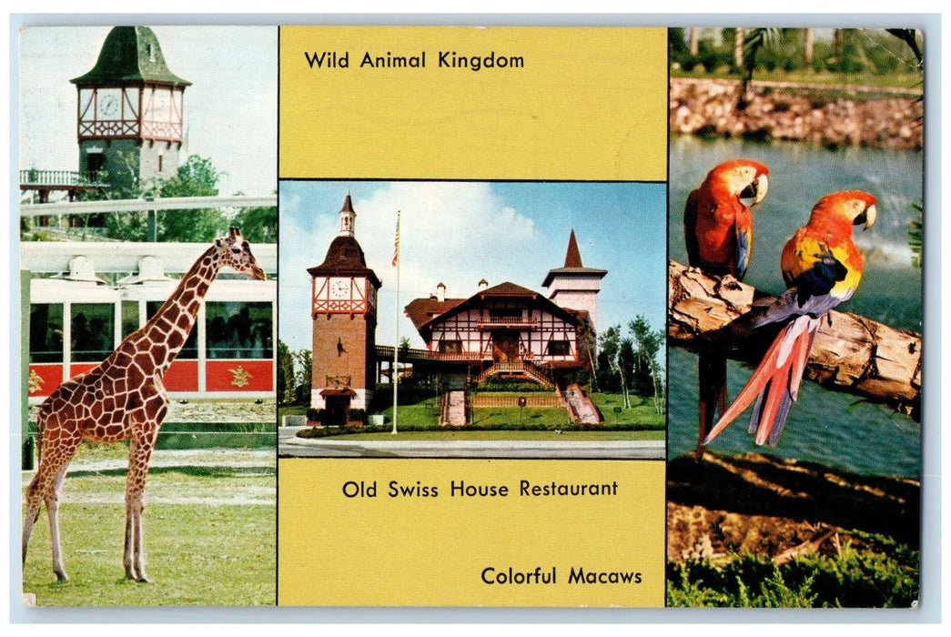 1968 Southern Home Of Anheuser-Busch Inc Tampa Florida FL Posted Animal Postcard