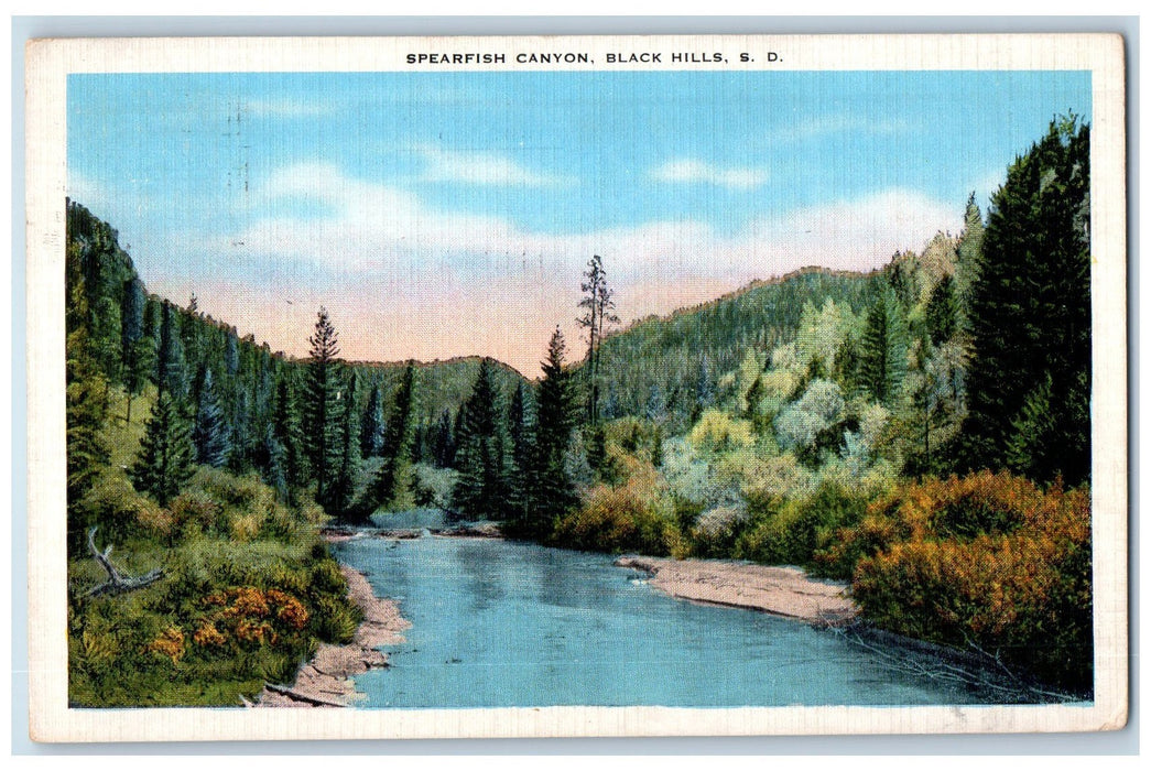 1945 Spearfish Canyon Trees Black Hills South Dakota SD Posted Vintage Postcard