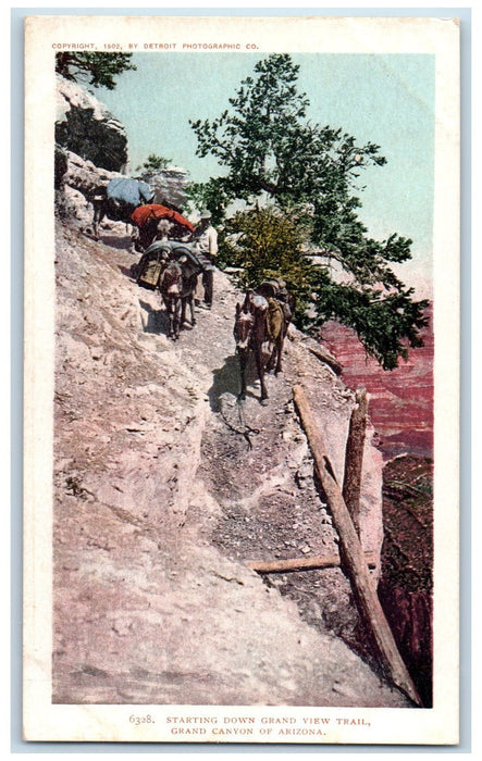 c1905 Starting Down Grand View Trail With Man & Mules Grand Canyon AZ Postcard