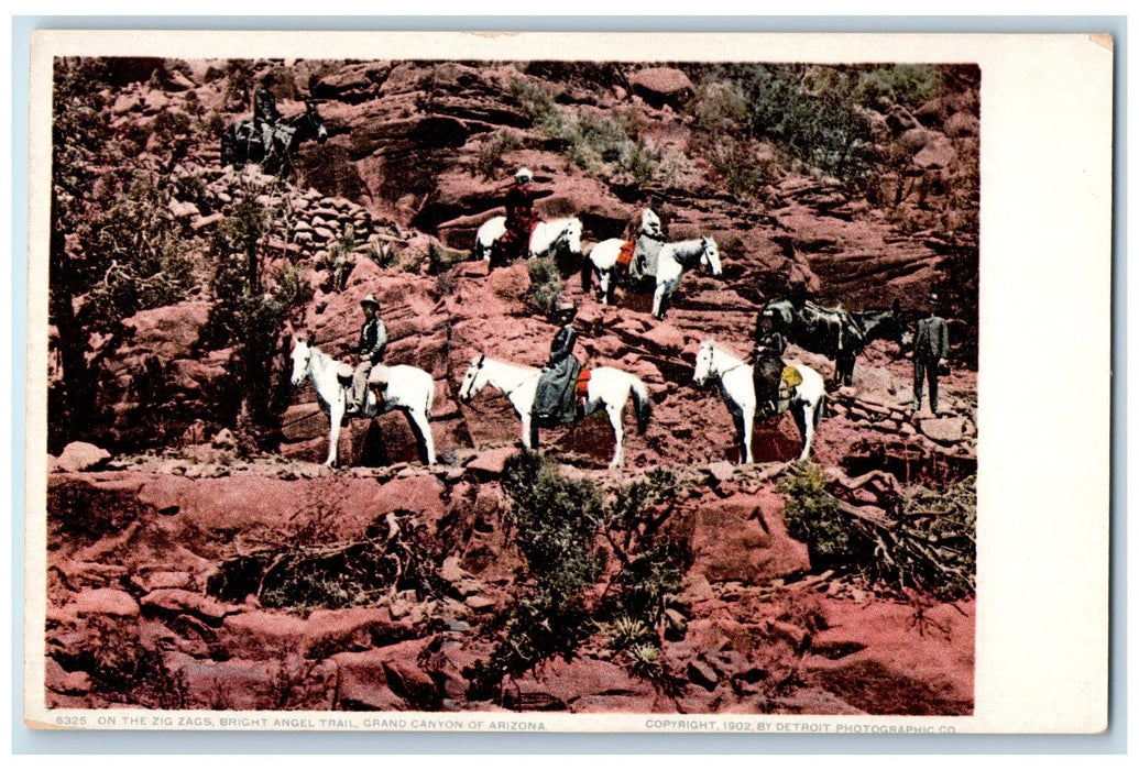 c1905 On The Zig Zags Bright Angel Trail Horse Riding Grand Canyon AZ Postcard