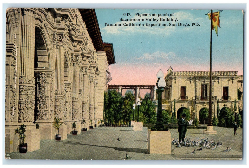 1915 Pigeons On Porch Sacramento Valley Building Expo.1915 San Diego CA Postcard