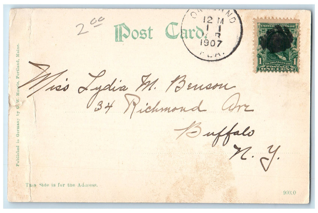 1907 Aerial View Of St. Augustine Florida Building Tower Garden Road FL Postcard