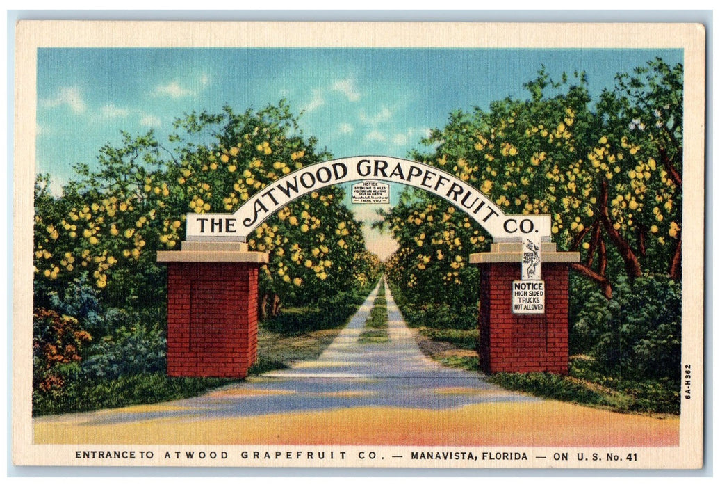 c1940 Entrance To Atwood Grapefruit Co. Arch View Manavista Florida FL Postcard