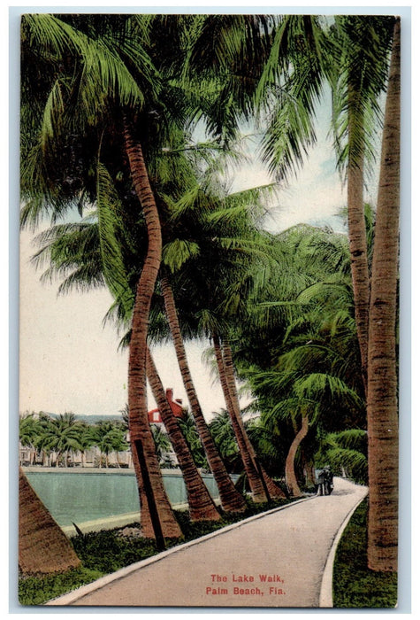 c1950's The Lake Walk Pathways Lined Trees View Palm Beach Florida FL Postcard