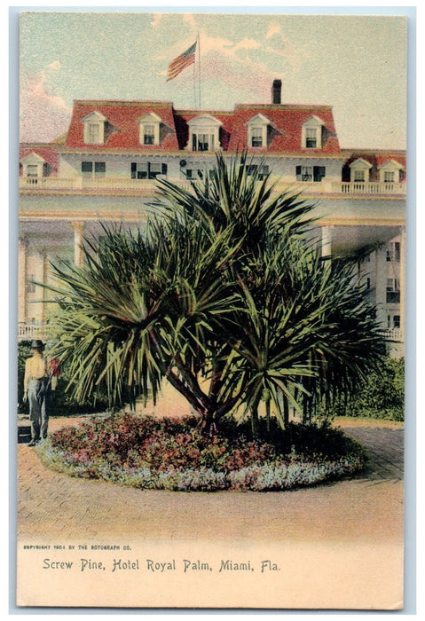 c1905's Screw Pine Hotel Royal Palm Flowers Beads Restaurant Miami FL Postcard