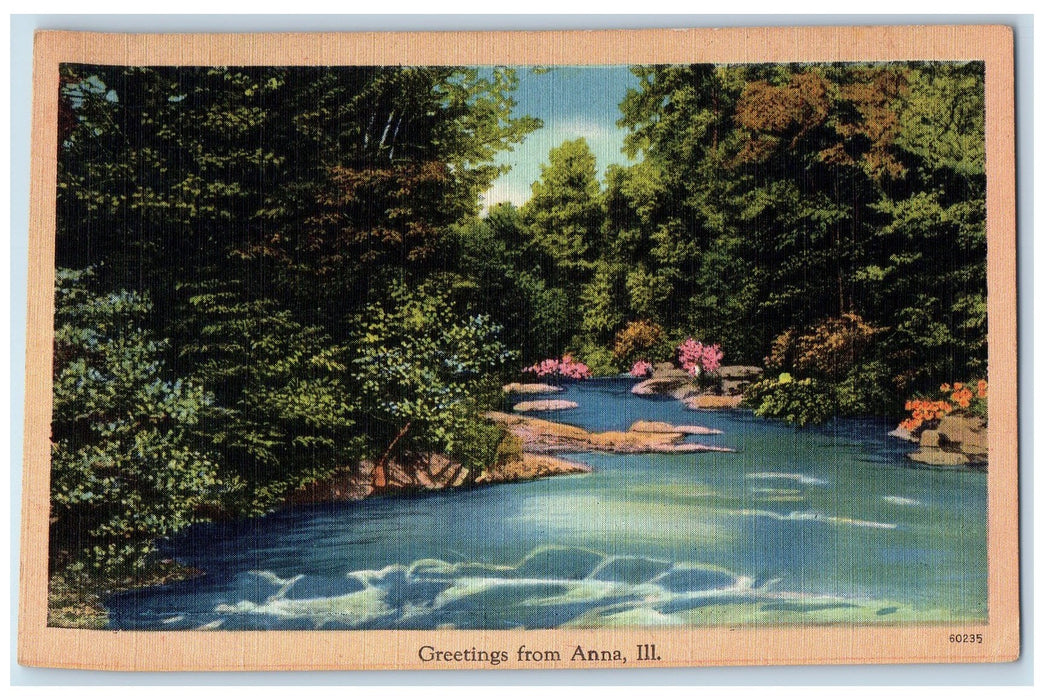 1948 Greetings From Anna River Trees Scene Illinois IL Posted Vintage Postcard