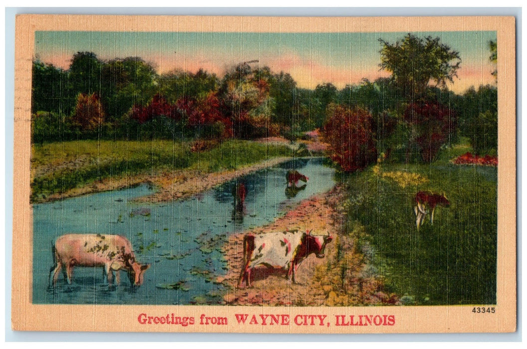 1948 Greetings From Wayne City Cows Scene Illinois IL Posted Vintage Postcard