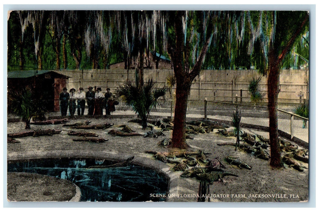 c1950's Scene On Florida Alligator Farm Pond Tourists Jacksonville FL Postcard