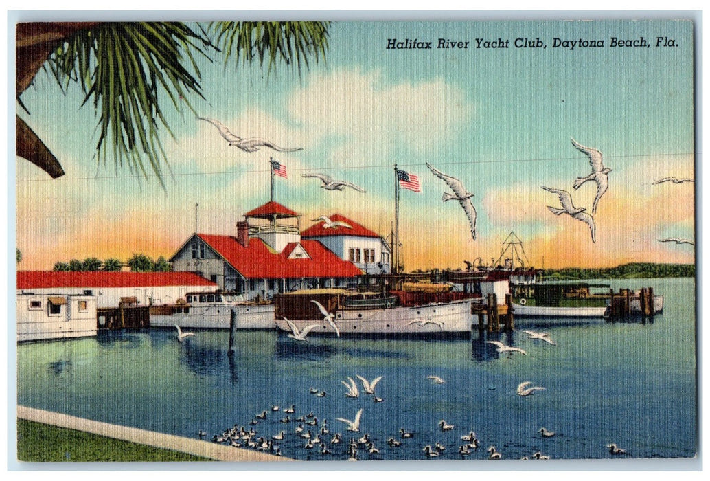c1940 Halifax River Yacht Club Wharf Boats Dock Birds Daytona Beach FL Postcard