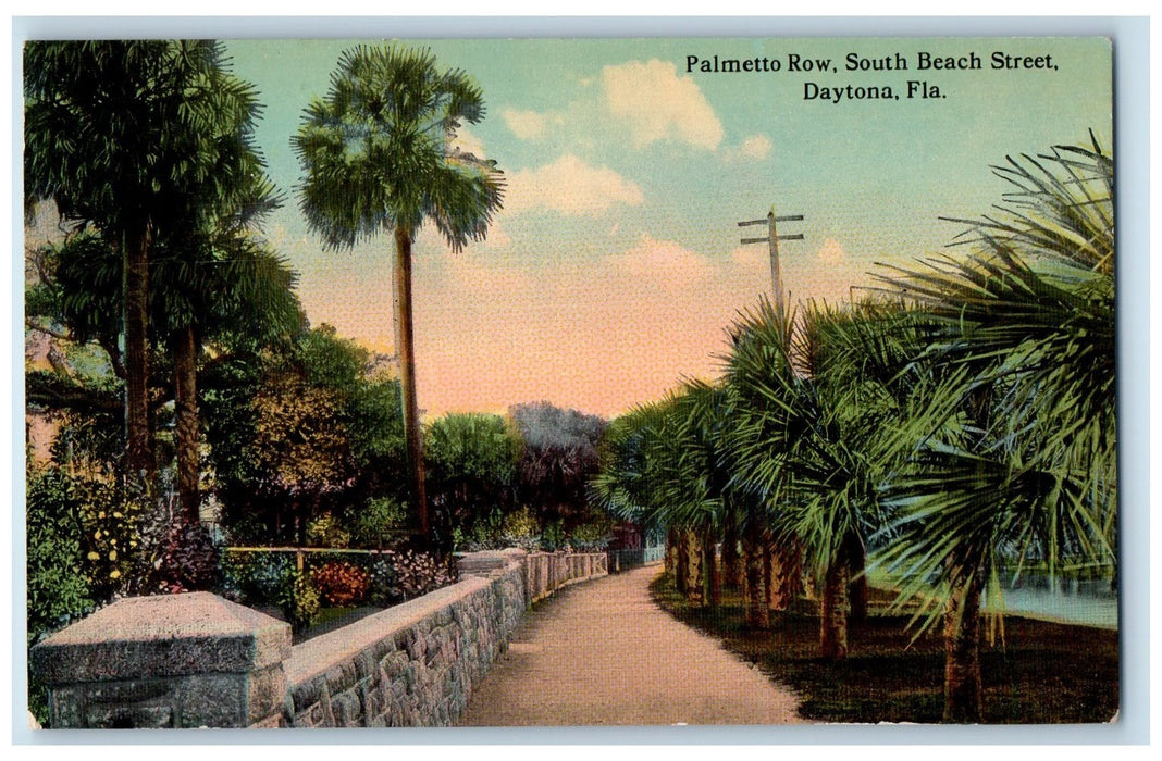 c1950 Palmetto Row South Beach Street Pathway Trees Daytona Florida FL Postcard