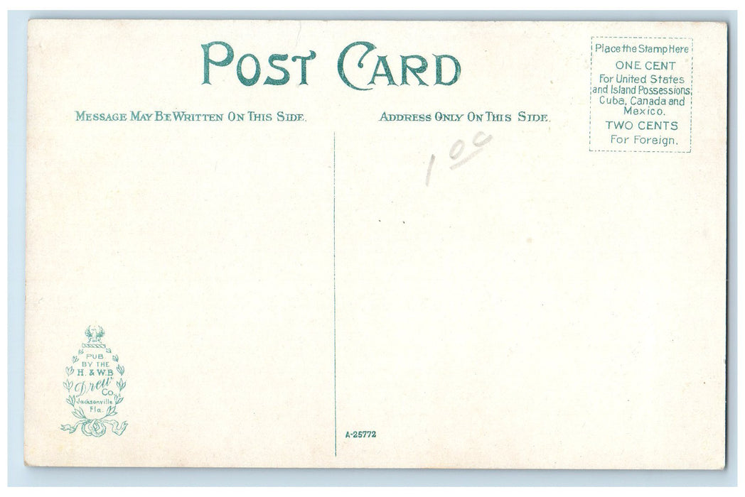 c1950 Palmetto Street Dirt Road Lined Trees Building Daytona Florida FL Postcard