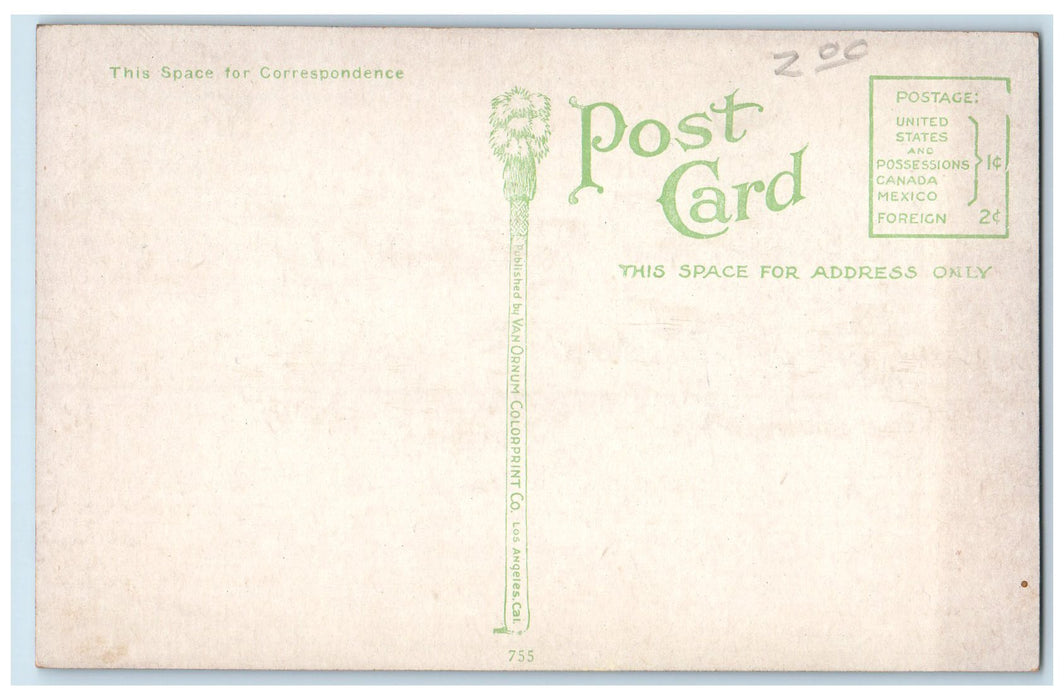 c1910s Hotel Maryland Exterior Path Scene Pasadena California CA Flower Postcard