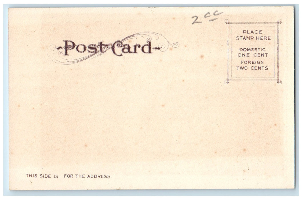 c1905's Interior Memorial Chapel Looking South Stanford University CA Postcard