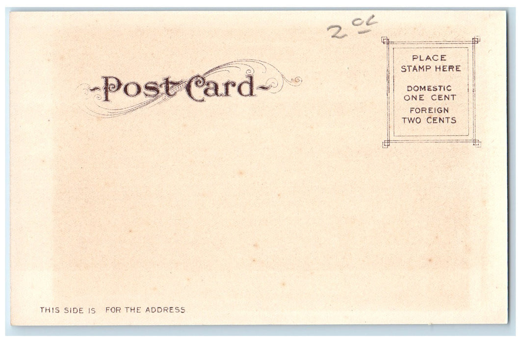 c1905s Lagunita And General View Of Stanford University CA Unposted Postcard